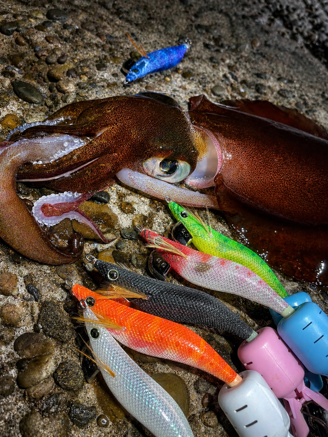Yamashita Squid Jig EGI OH F – Size 3.0 Deep Blue